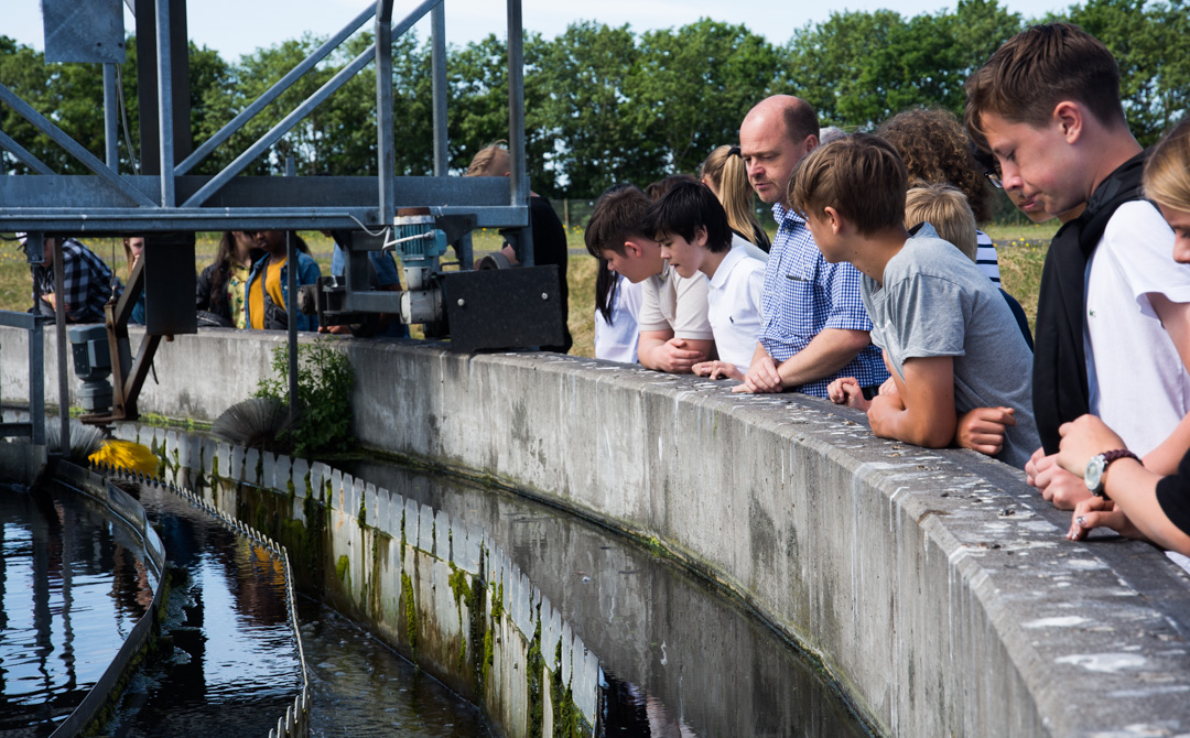 7. klasse besøger Fornæs Renseanlæg